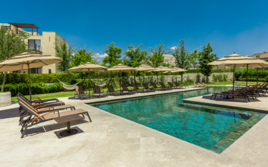 La Luminaria – Santa Elena