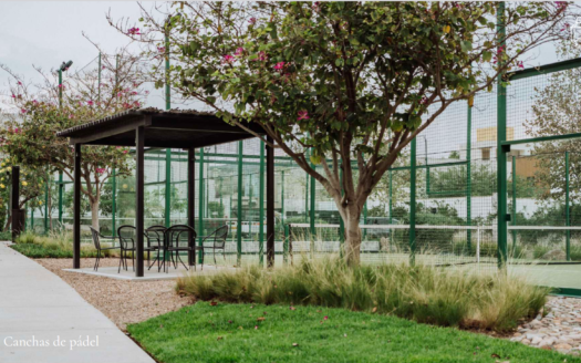 La Luminaria – Santa Lucía