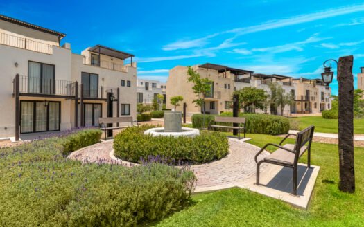 La Luminaria – Santa Lucía