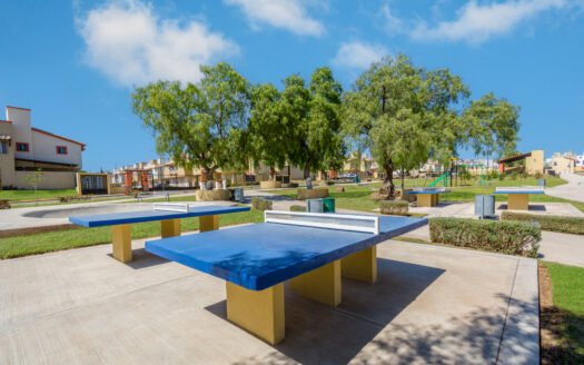 Real Madeira – Montesino