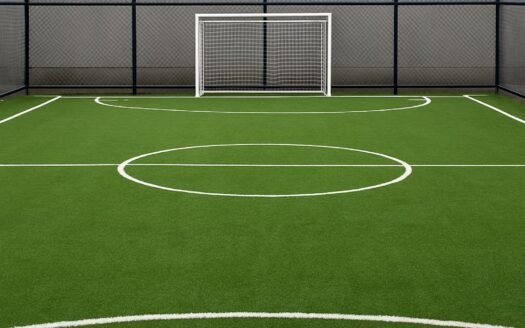 Privada del bosque – Citrino