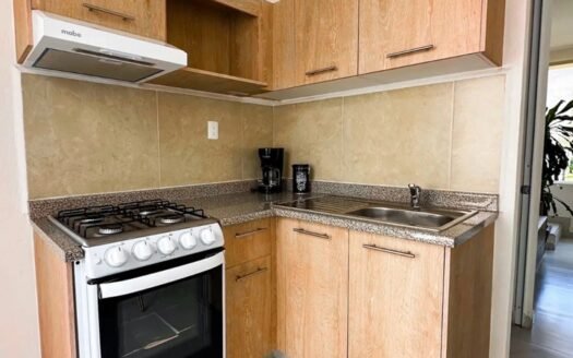 Privada del bosque – Esmeralda