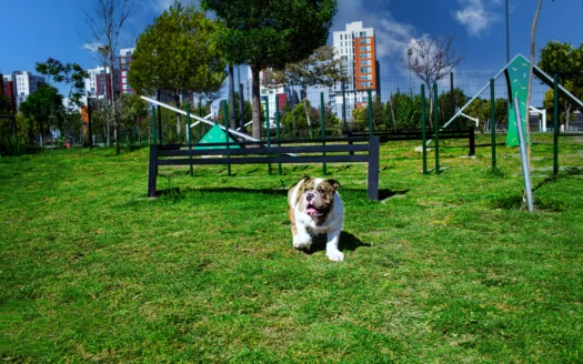 Cosmopol – Creta (Planta baja, Roofgarden, esquina)