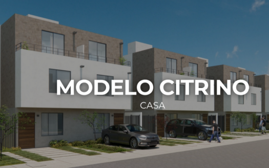 Abeto- Citrino